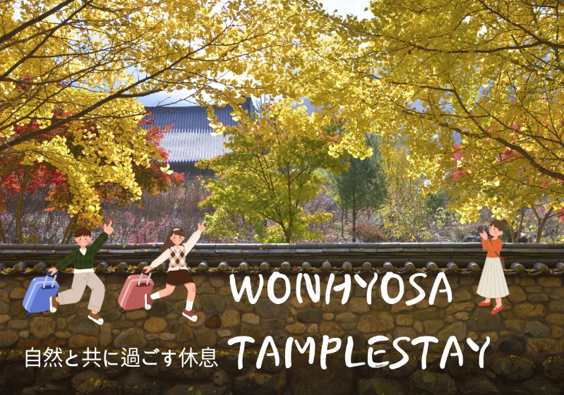 제목을-입력해주세요_-002 (1).jpg 이미지