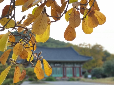 무제_0.jpg 이미지