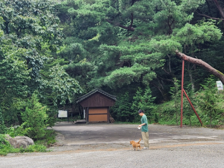 니모와 산책3.png 이미지