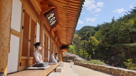 코로나19 명상(오후)_0.jpg 이미지